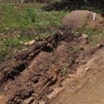 Stuck in the mud